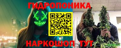a pvp Краснознаменск